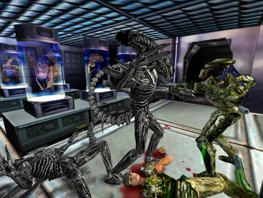 AvP Forever